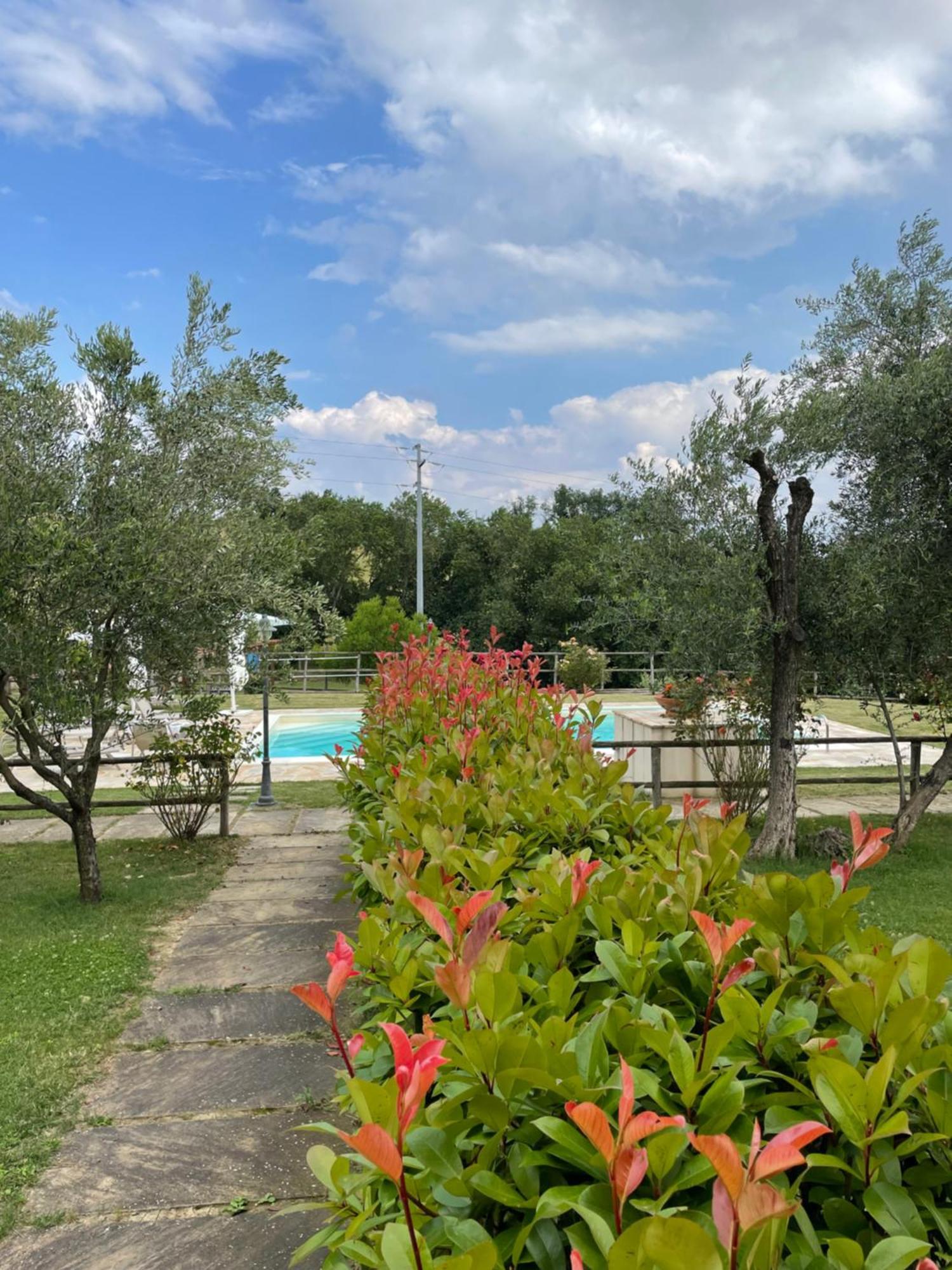 Montenovo Country House Ostra Vetere Eksteriør billede