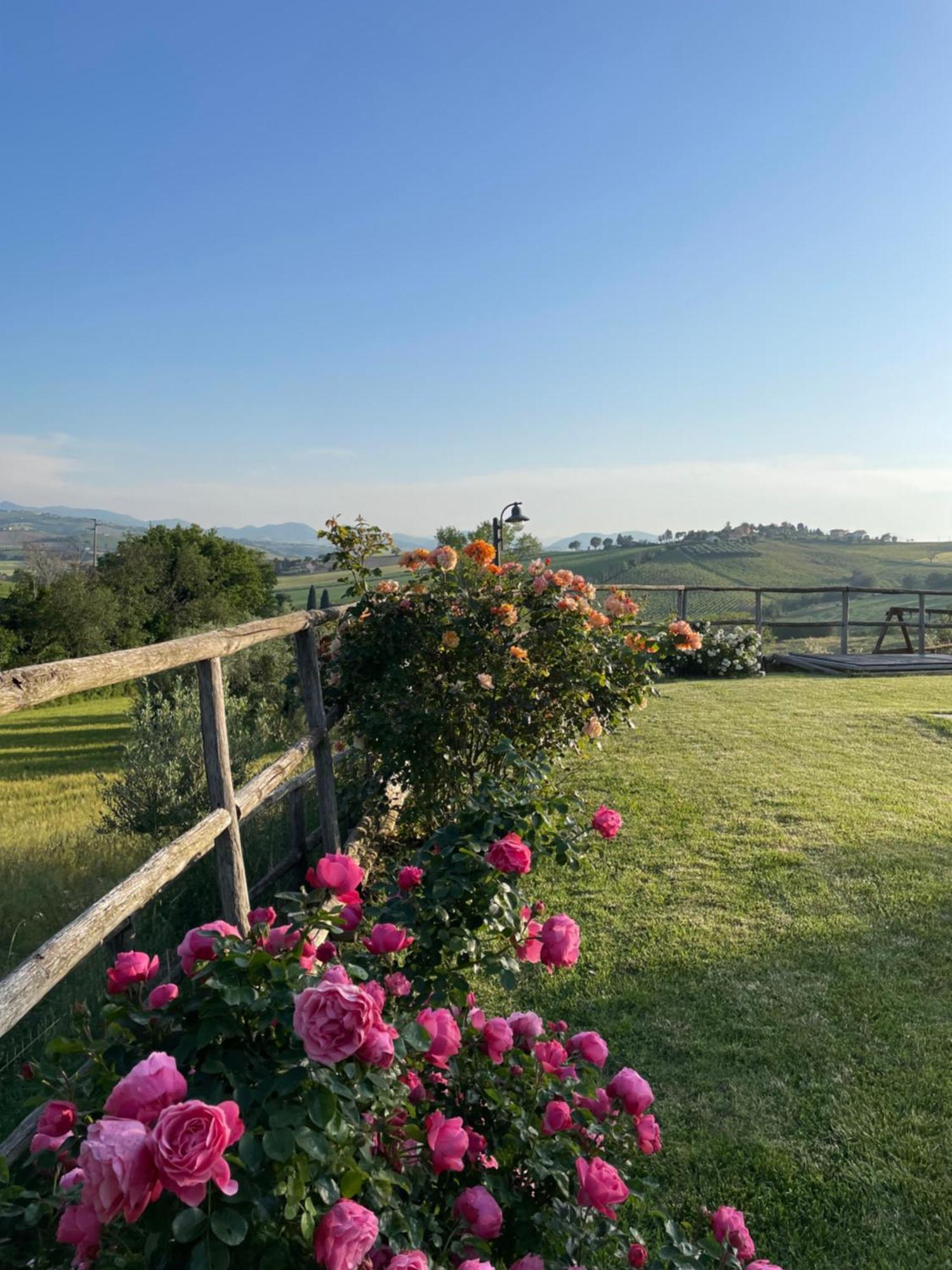 Montenovo Country House Ostra Vetere Eksteriør billede