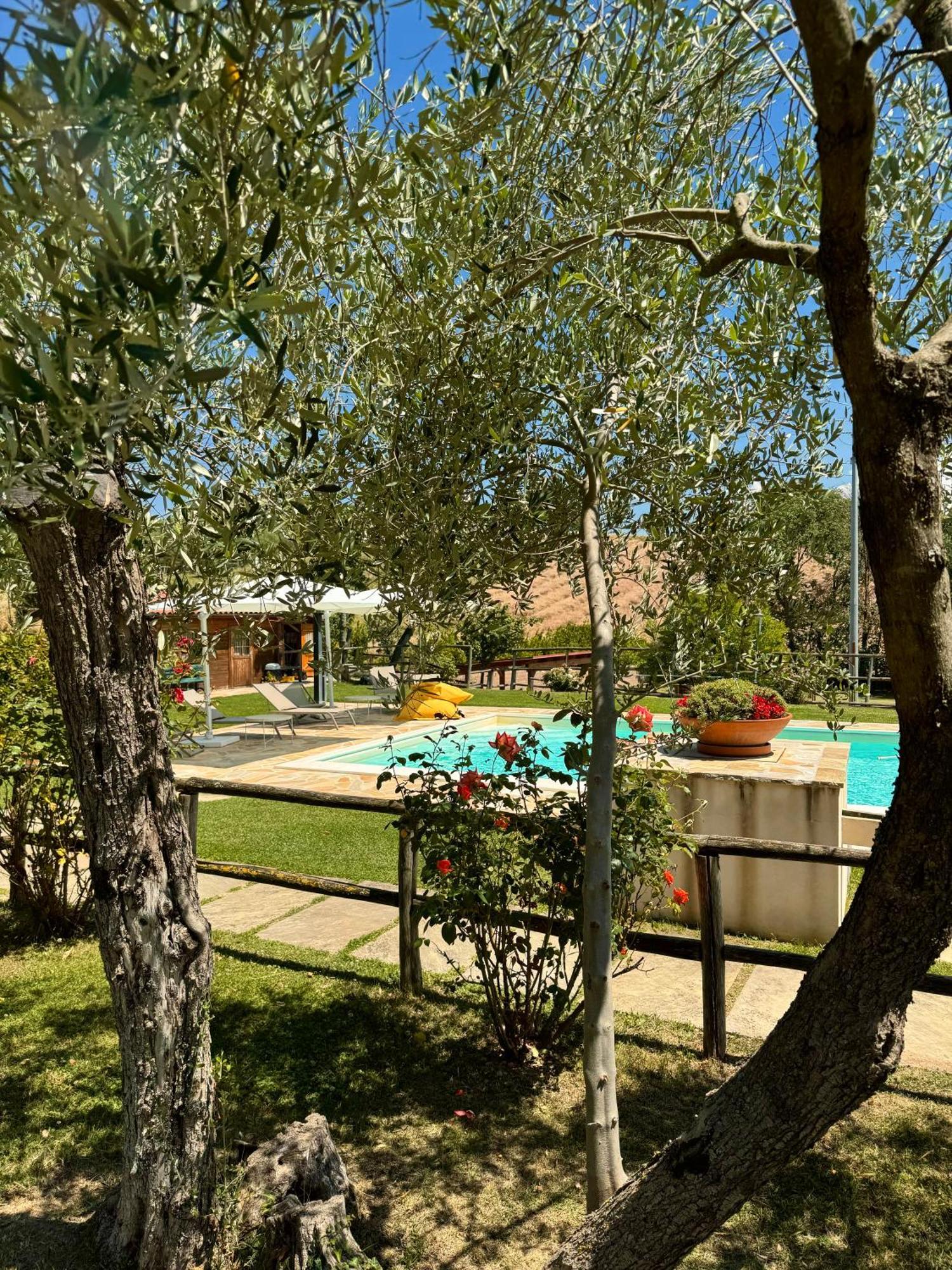 Montenovo Country House Ostra Vetere Eksteriør billede